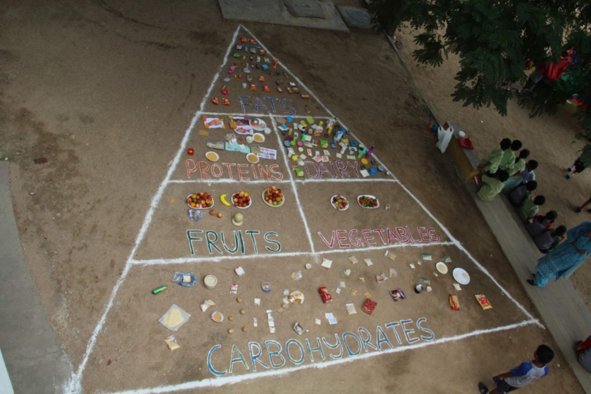 3_Food-Pyramid.jpeg